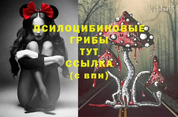 первитин Лабытнанги