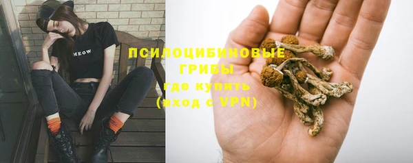 ГАЛЛЮЦИНОГЕННЫЕ ГРИБЫ Кукмор