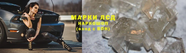 ГАЛЛЮЦИНОГЕННЫЕ ГРИБЫ Кукмор
