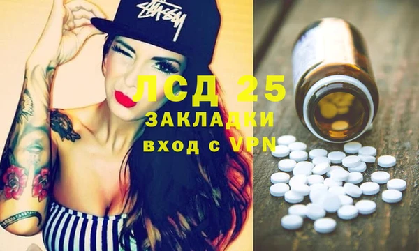 ГАЛЛЮЦИНОГЕННЫЕ ГРИБЫ Кукмор