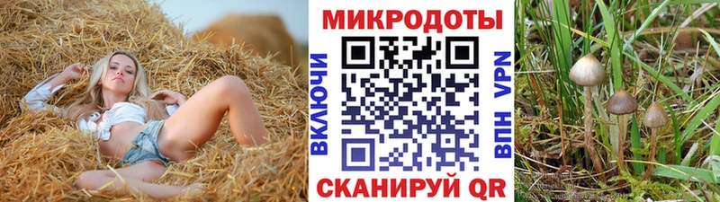 Галлюциногенные грибы Magic Shrooms  Котовск 