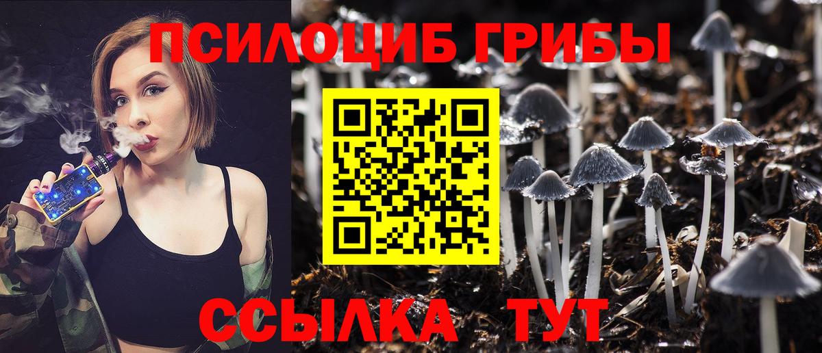 Галлюциногенные грибы ЛСД Котовск