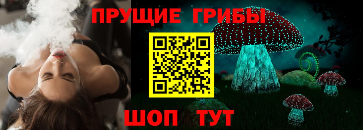 Галлюциногенные грибы Cubensis  Галлюциногенные грибы прущие грибы  Вход с VPN  Котовск 